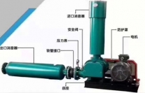 水产养殖专用罗茨风机
