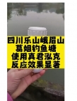 真菌泓克