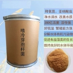嗜冷芽孢杆菌，低温专用菌